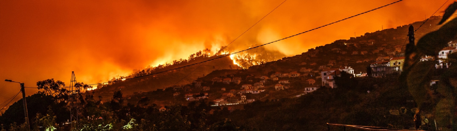 Wat te doen tegen een klimaatdepressie
