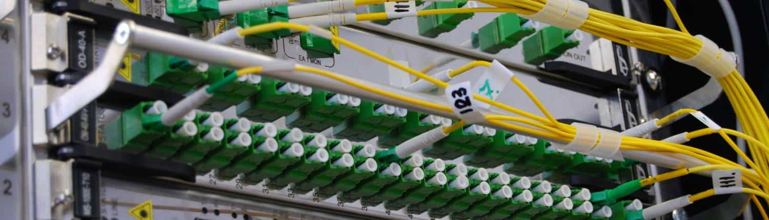 Digitaal opruimen verkleint je CO2 voetafdruk Digitaal opruimen verkleint je CO2 voetafdruk