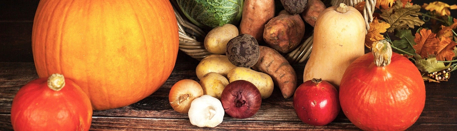 vegetarische recepten met seizoensgroenten in januari