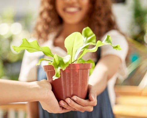 hoe krijg je je omgeving mee in duurzame cadeaus