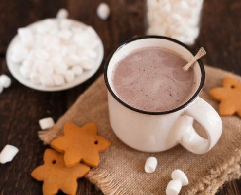 de lekkerste plantaardige chocolademelk
