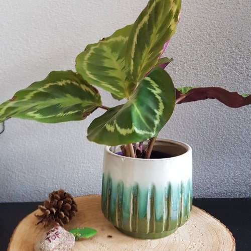 10 dingen die je zeker tweedehands vind