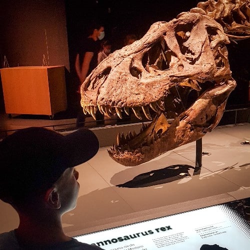 De leukste belevenis cadeautips voor kinderen