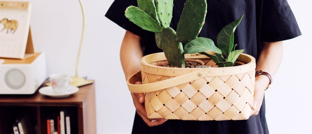 Hoe krijg je je omgeving mee in duurzame cadeaus? De beste tips