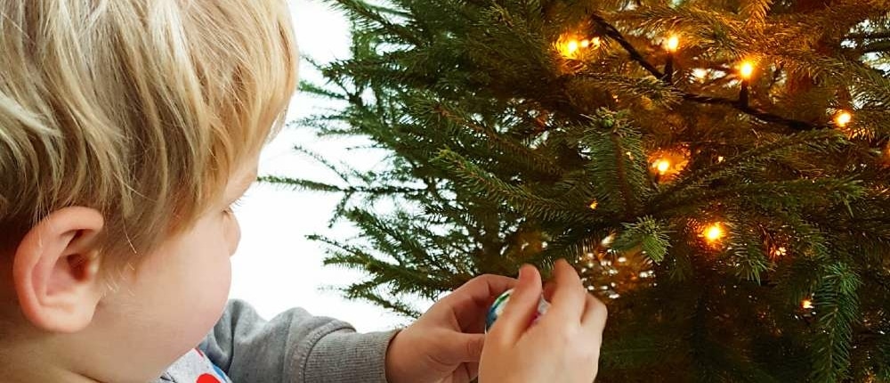 Adopteer een kerstboom duurzame kerstboom