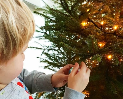 Adopteer een kerstboom duurzame kerstboom