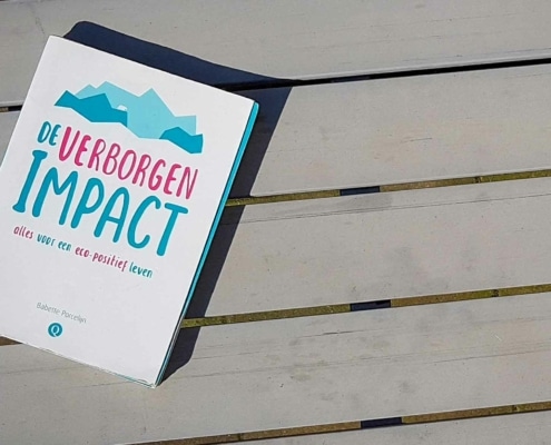 De Verborgen Impact boek review
