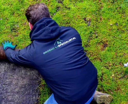 Duurzaam groen dak door Groendakspecialist