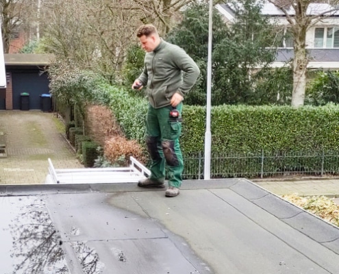 Groendakspecialist voert van A tot Z het groen dak uit