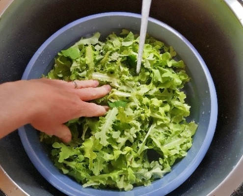 makkelijke-manieren-om-water-te-besparen-teiltje makkelijke manieren om water te besparen