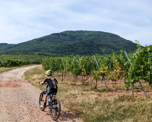 Duurzame vakantie in de Elzas