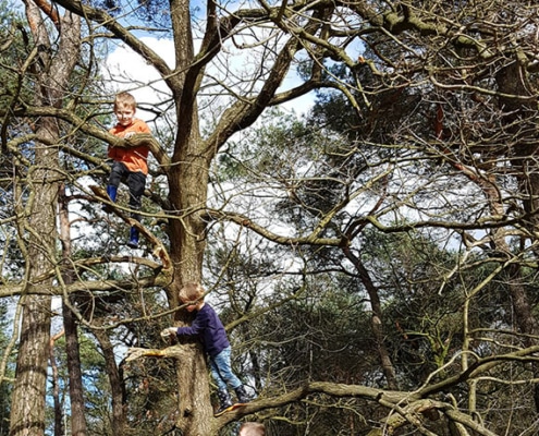 vijf redenen om vaker de natuur in te gaan