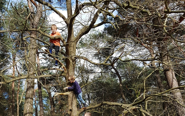 natuur-header vijf redenen om vaker de natuur in te gaan