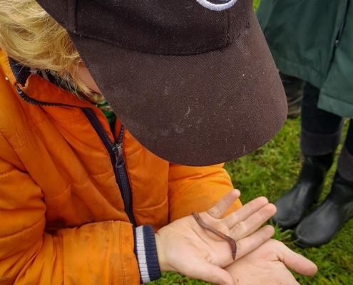 vijf redenen om de natuur in te gaan