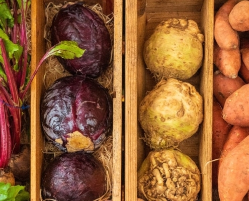 vegetarische recepten met seizoensgroenten in februari