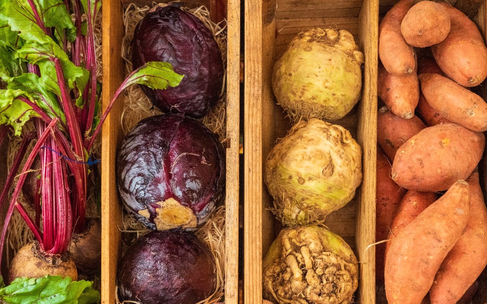vegetarische recepten met seizoensgroenten in februari