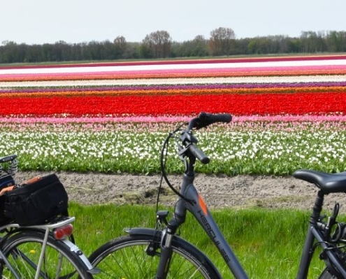 Duurzame & budget meivakantie tips