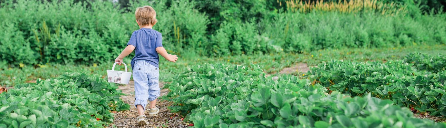 Is wat je eet is belangrijker dan waar het vandaan komt (1) Is wat je eet is belangrijker dan waar het vandaan komt