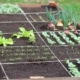 is een moestuin duurzaam of niet