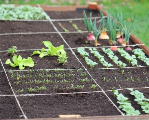 is een moestuin duurzaam of niet