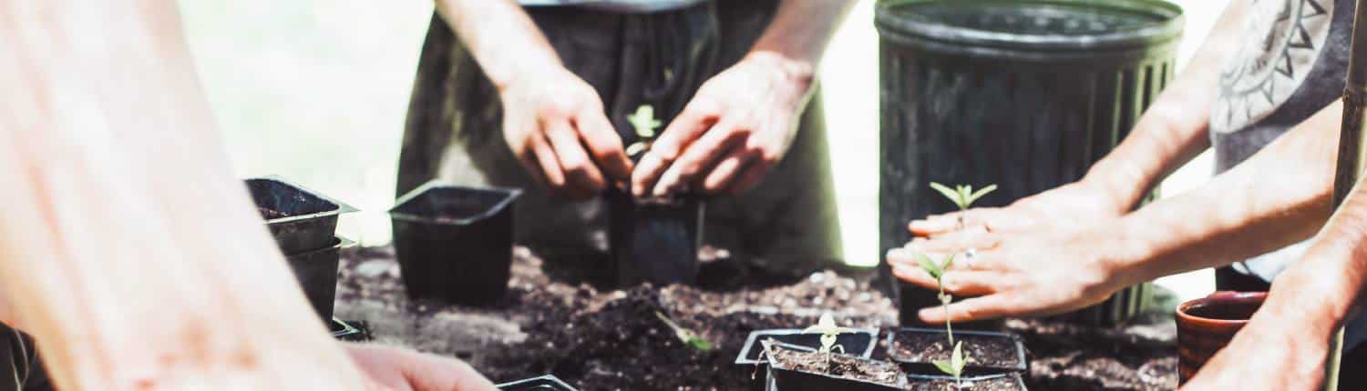 Draag je steentje bij met duurzaam vrijwilligerswerk header