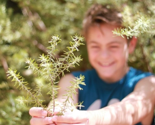 duurzaam vrijwilligerswerk doen duurzaam vrijwilligerswerk doen