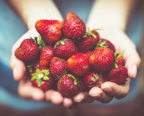 een pleidooi voor echt eten leestip