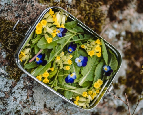 Wildplukken in de lente
