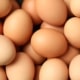 Plantaardige eivervangers de beste alternatieven voor ei in de keuken