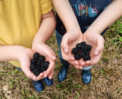 duurzaam opvoeden tips