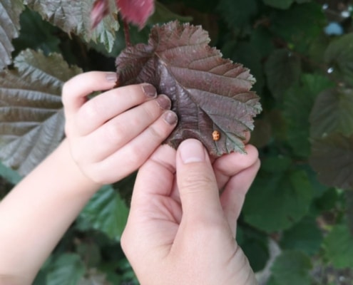 duurzaam opvoeden tips beestjes kijken