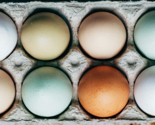 plantaardige eivervangers