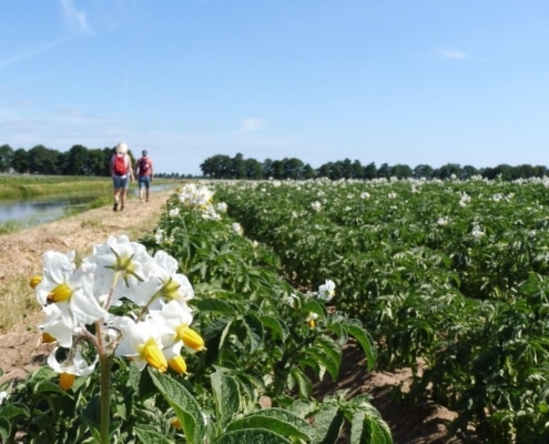 ga op microvakantie in nederland pieterpad