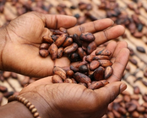 duurzame chocolade oog voor mens en natuur