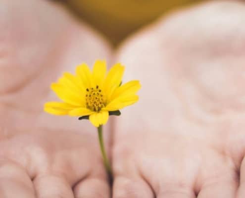 klimaatzorgen 7 tips om hoopvol duurzaam te leven