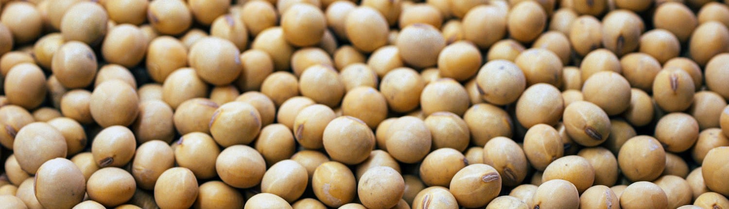 is soja duurzaam is soja duurzaam