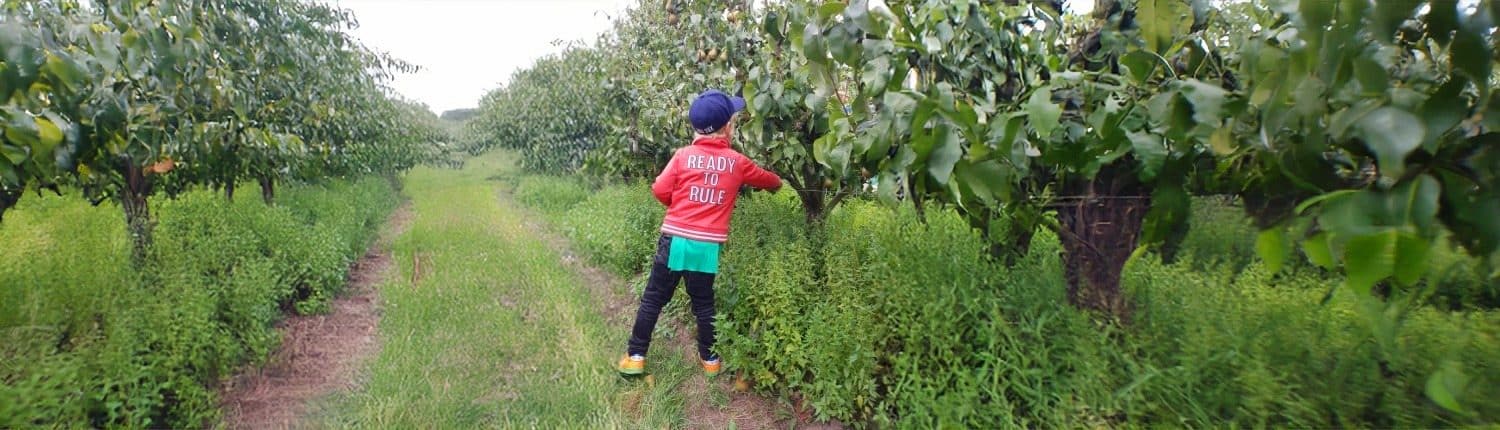 lokaal en duurzaam eten keuzes lokaal en duurzaam eten keuzes