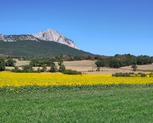 baskenland met kinderen