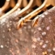 Glitter en pailletten kleding duurzaam