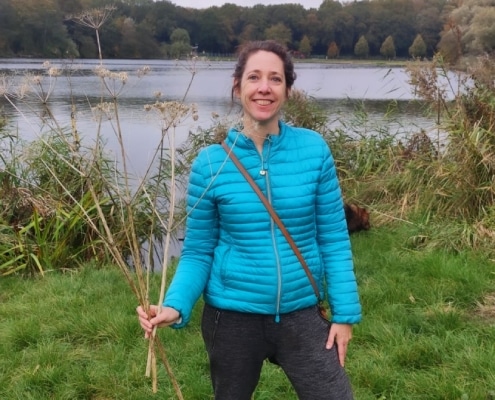 natuurlijke decoratie herfst berenklauw natuurlijke decoratie herfst berenklauw