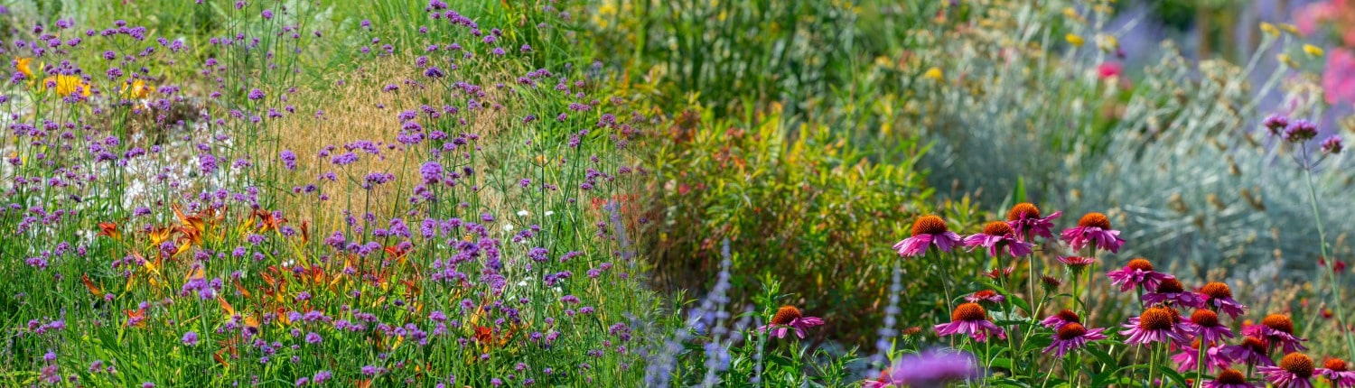 duurzame challenge duurzamekeuzes