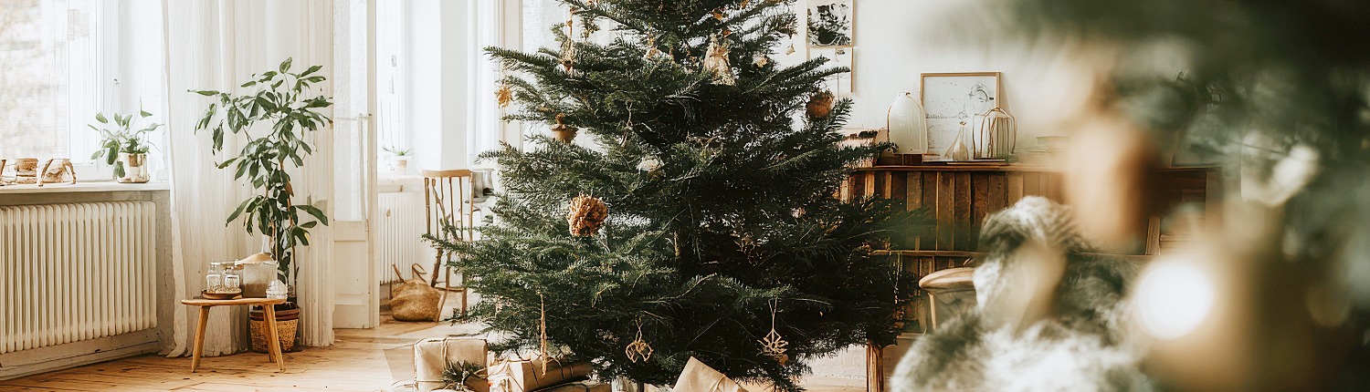 duurzame kerstboom alternatieven