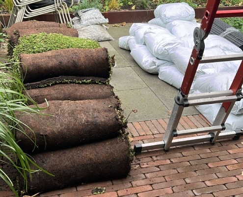 zelf sedumdak groendak aanleggen zelf sedumdak groendak aanleggen