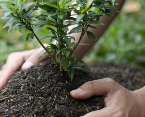 duurzame potgrond header