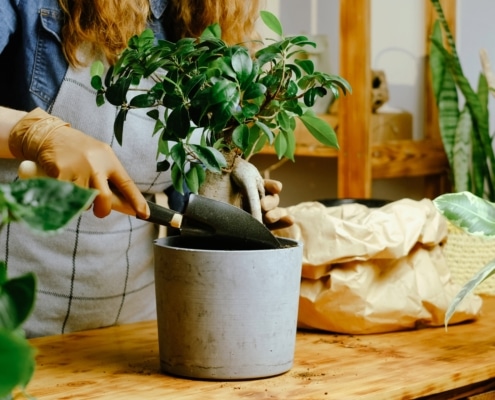 duurzame potgrond of tuingrond