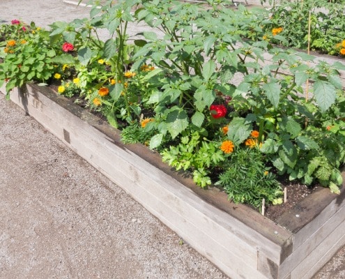 duurzame start moestuin bakken