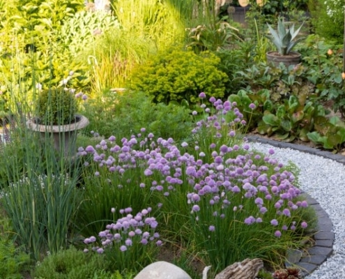 duurzame tuin vaste planten