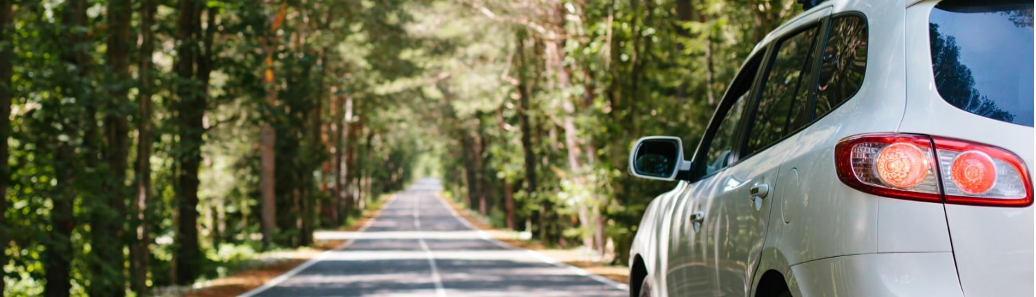 groenere keuzes auto