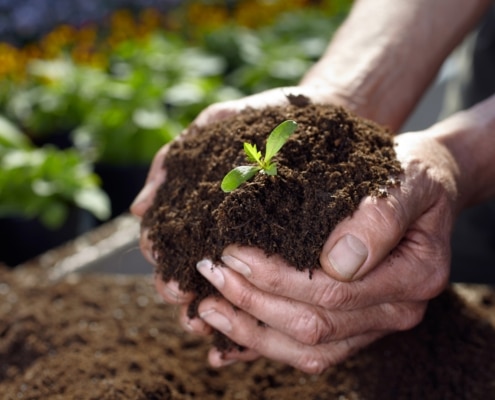 turfvrije duurzame potgrond of tuinaarde