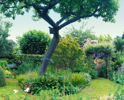 waarom biologische tuinplanten een goed idee zijn